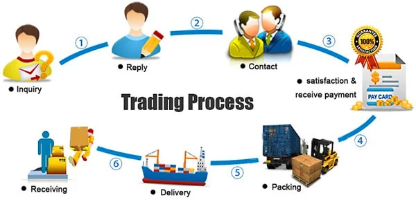 Sightseeing  Car Buying Process
