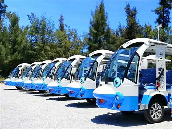 Sightseeing Car Dolphin Design (3)