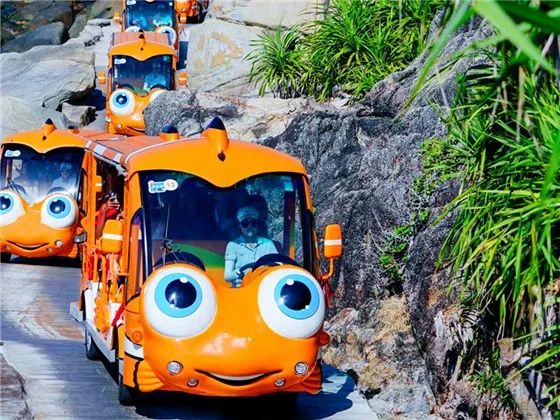 Sightseeing Vehicles for Sale