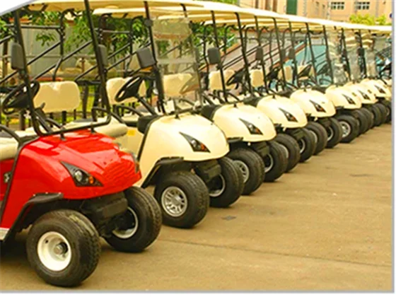 Wholesale Golf Carts for Sale