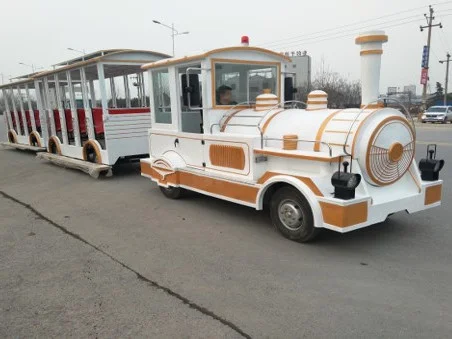 Tourist Train Rides for Sale Cases (5)