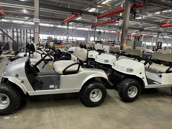 Best Golf Cart Manufacturer in China