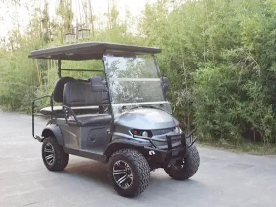 Golf Carts for Sale Cases