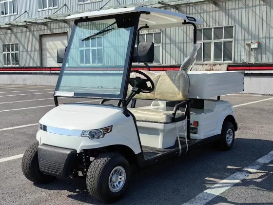 Custom Electric Golf Carts for Sale
